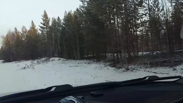 ГЛУХАРЬ смотреть онлайн