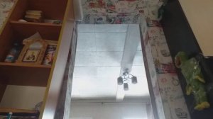 делаю костюм спрингтрапа