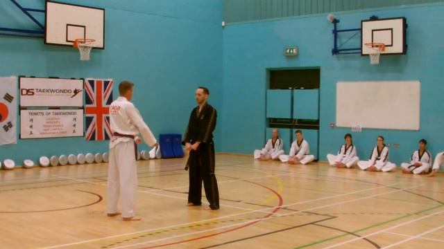 DS Taekwondo Demonstration 2015 смотреть онлайн