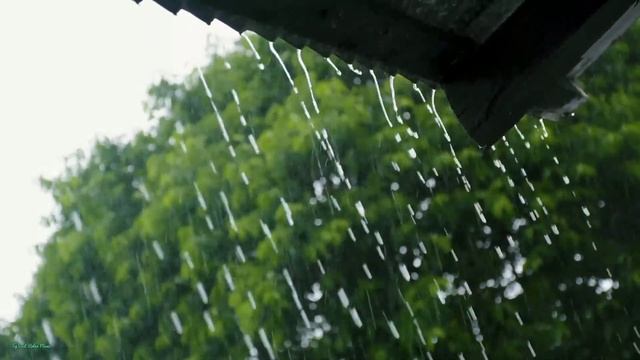 Шум дождя/Для сна/Rain sounds for sleeping/Rain meditation смотреть онлайн