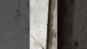 Укладка керамогранита на тёплый пол в зимнее  время .