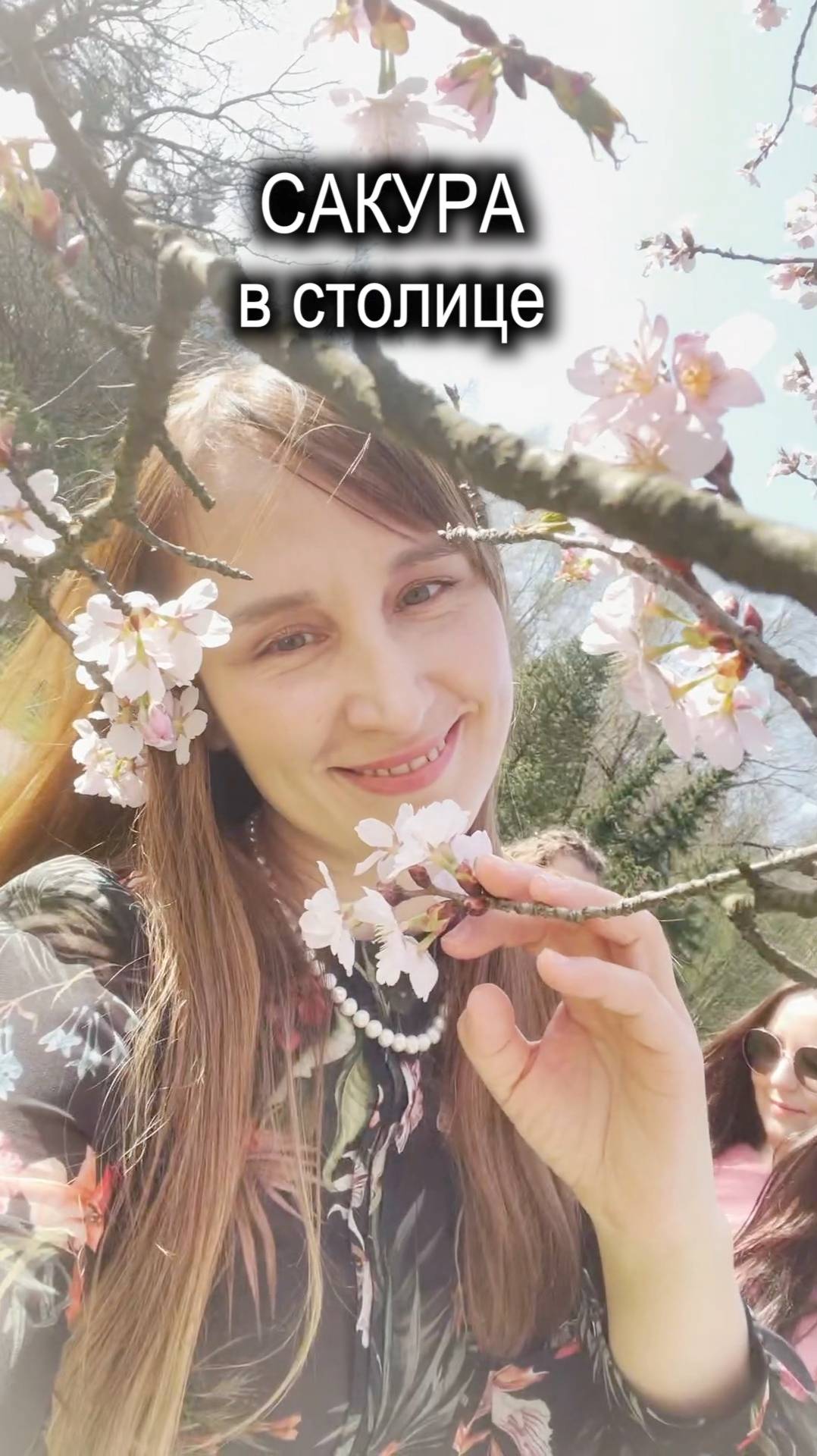 Сакура в Москве смотреть онлайн