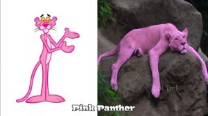 Pink Panther And Pals Characters In Real Life