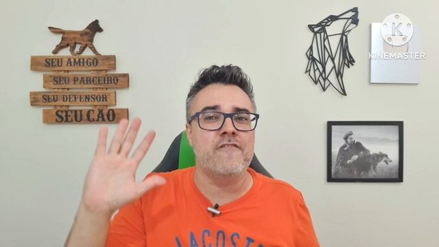 5 alimentos CAUSAM LÁGRIMA ÁCIDA!! ✅Ração HILLS FUNCIONA? смотреть онлайн