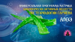Алое 🔊 программа матрица по технологии Гаряева П.П ☀️ SoftRadio.ru