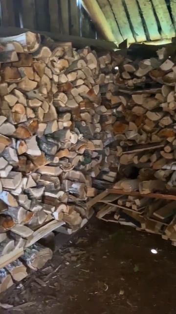 Подготовка дров к зиме идёт полным ходом! 🏕 Дом у леса! 🏕 House by forest! 🏕 смотреть онлайн