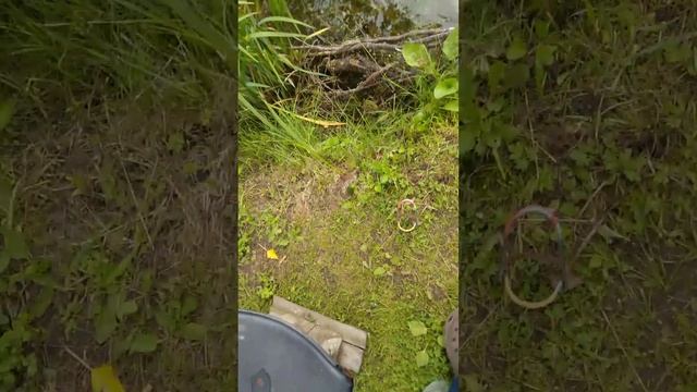 пруд в огороде,просто отдых смотреть онлайн