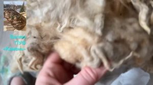 ☘️ Интерьерный ПУФ - "КАМЕНЬ" из шерсти. Рассказываю/Показываю/Валяю. #своимируками