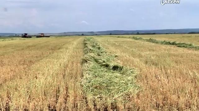 информ выпуск 5 июля 2018 смотреть онлайн