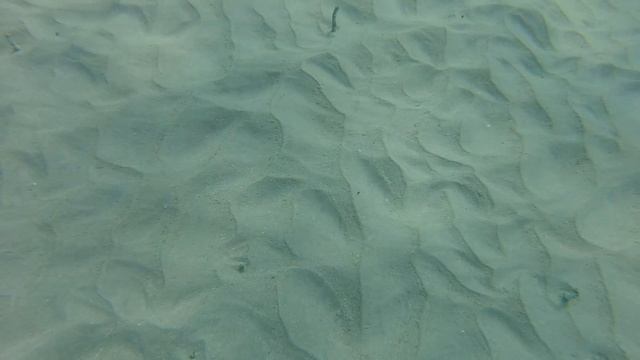 Донные змейки смотреть онлайн