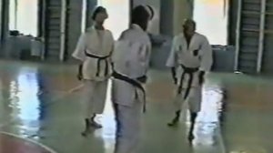 Хидетака Нишияма. Ката (Часть 1)