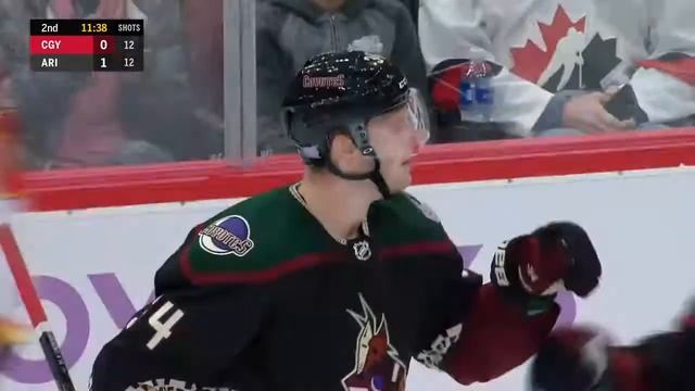 Калгари - Аризона | НХЛ обзор матчей 16.11.2019г. | Сalgary Flames vs Arizona Coyotes смотреть онлайн