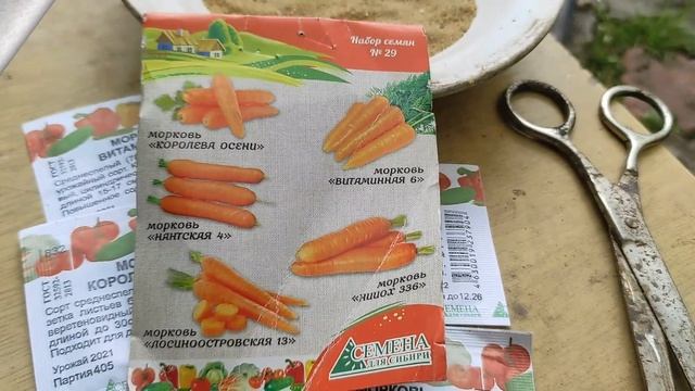 А также способ победить морковную муху