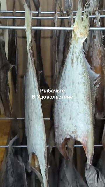 Мурманский вяленый ёрш.