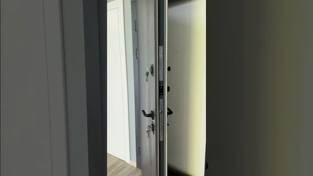 Елегантність і Надійність: Вхідні двері Стелс зі спокусливим дизайном смотреть онлайн