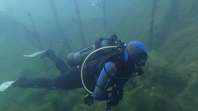 Woman diving in underwater forest, with a scuba, depth of 10 meters, 7+7 mm neoprene wet diving sui смотреть онлайн