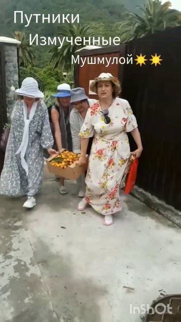 Фанатам мушмулы посвящается ☀️☀️☀️ #абхазия #мушмула #лето #фруктыабхазии #veraway смотреть онлайн