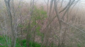 VID_20250420_171842.mp4