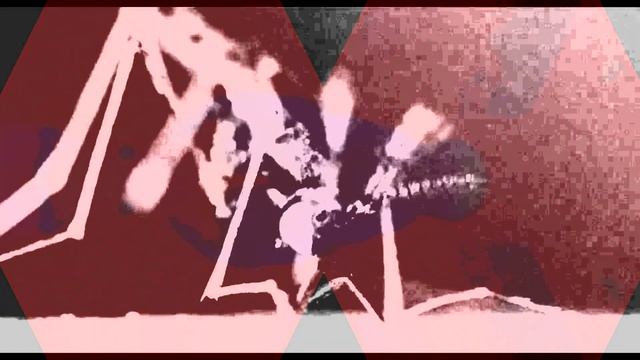 TARAS BULBA 'Fishcat Mother' (2020)