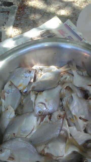 Vinegar helps reduce fishy taste and smell#shorts смотреть онлайн