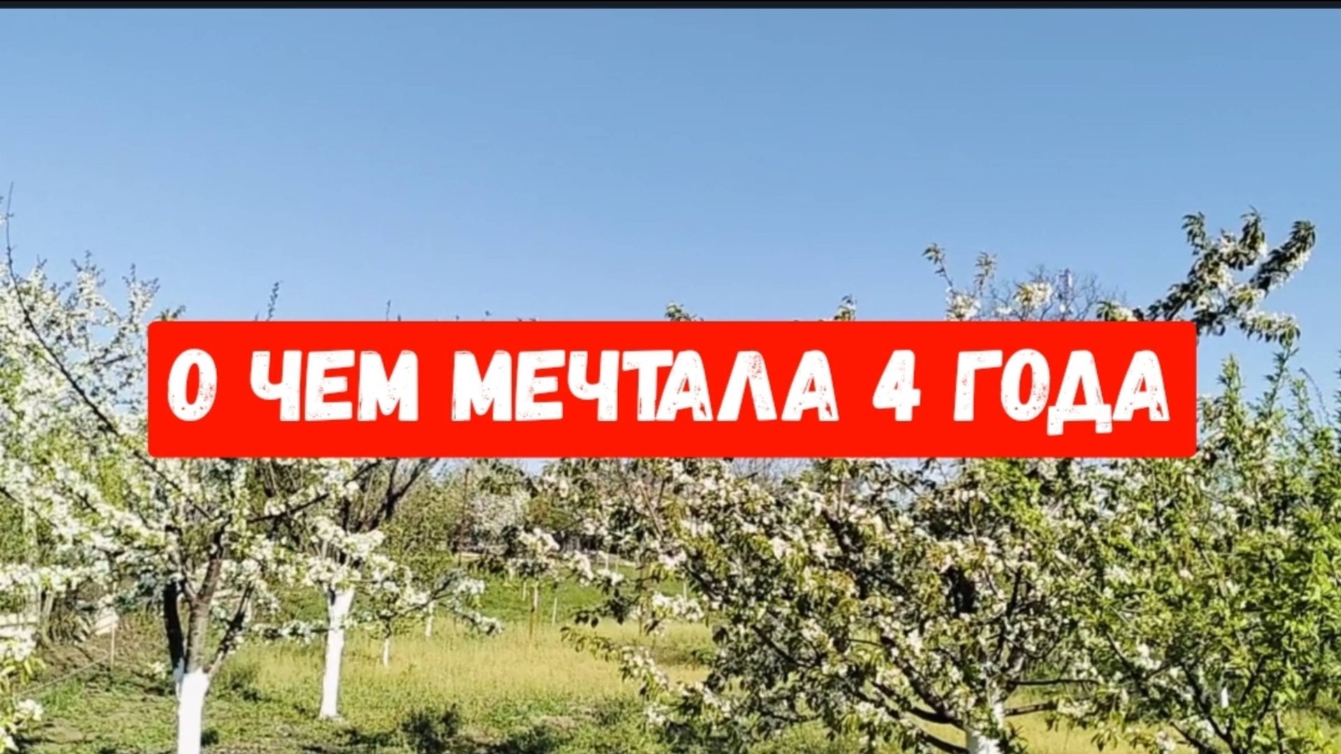 #6🌷20 апреля.С пасхой! О чем мечтала 4 года,сбылось смотреть онлайн