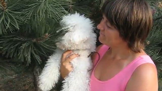 Фэми -пихтовый медведЪ)))))) 2012г 421.avi смотреть онлайн