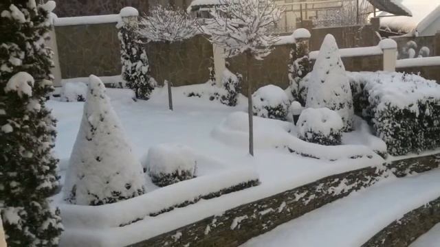 Родительский дом. Январь 2016 г. смотреть онлайн