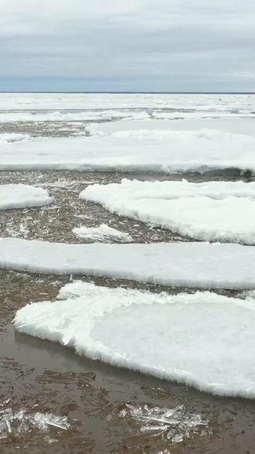 🤔 Обь - одна из крупнейших рек в мире