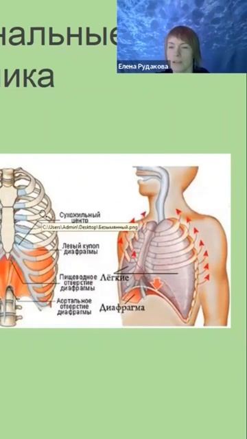 Как тонус мышц грудной клетки влияет на боль в спине #исследование #позвоночник #статья