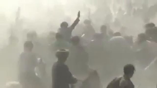 Даурен палуан смотреть онлайн