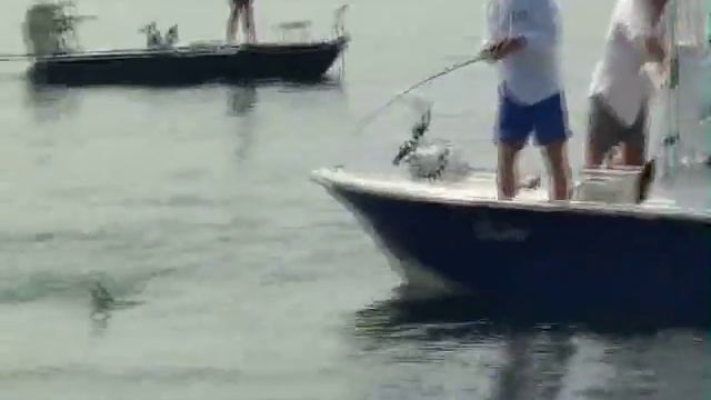 Shallow Sport 21V tarpon.mp4 смотреть онлайн