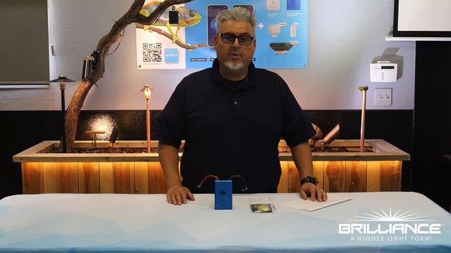 Brilliance Dimmer Switch | Smart Products & Controls смотреть онлайн