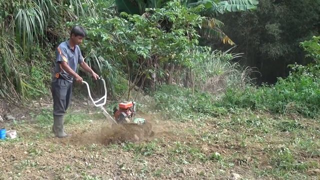 CY80 tiller 10聯5馬刀鋤草後鬆土 10-rotary 5HP tillage blade tilling after weeding (100cm tilling width) 中耕機 смотреть онлайн