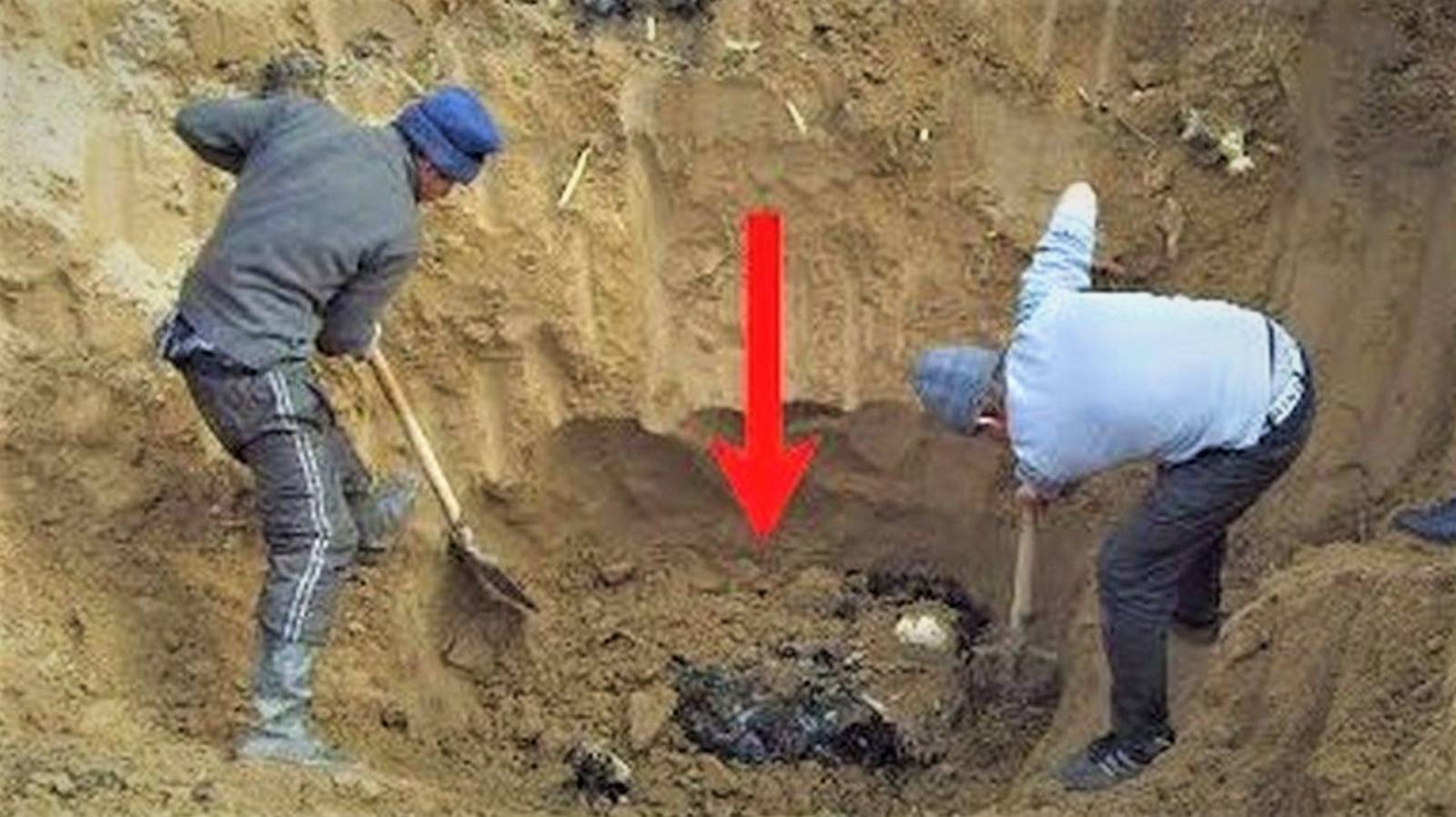 Хорошо ЗАРАБОТАЛИ на НАХОДКЕ, Фартовый ПОИСК в ЛЕСУ и Почаще бы так ВЕЗЛО на Копе!!! смотреть онлайн