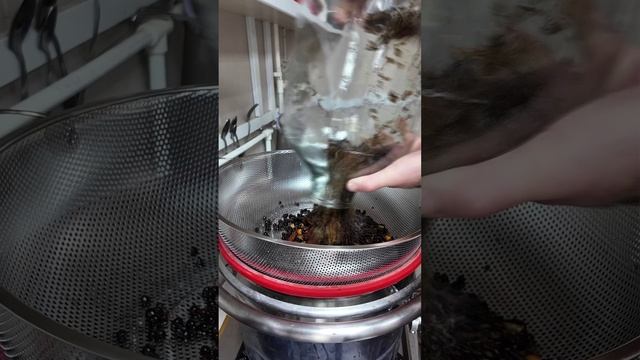 Домашний ДЖИН смотреть онлайн