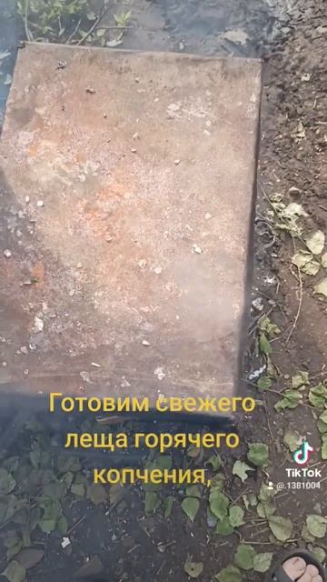 Готовим свежего леща горячего копчения #готовим #лещь #горячеекопчение