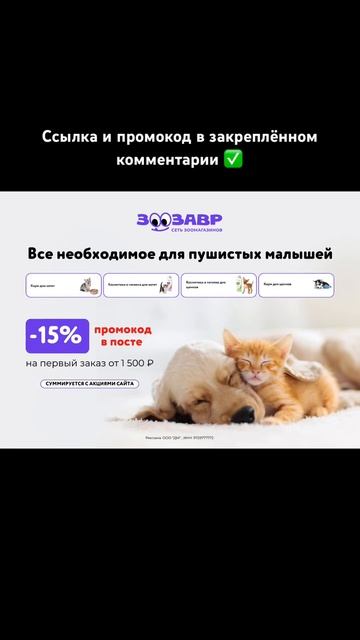 Всё необходимое для пушистых малышей👍🏻 #2023 #кошки #собаки #корма #животные #пушистики #акции смотреть онлайн