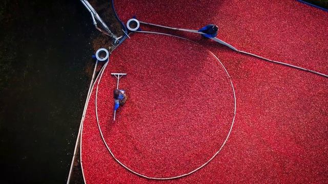 Villeroy Cranberries | WE ARE THE BEST смотреть онлайн