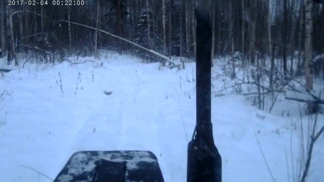 МТЗ 80 поездка на делянку смотреть онлайн