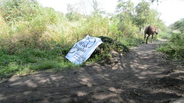Downhill in Almaty, Kazakhstan 03-08-2013 смотреть онлайн