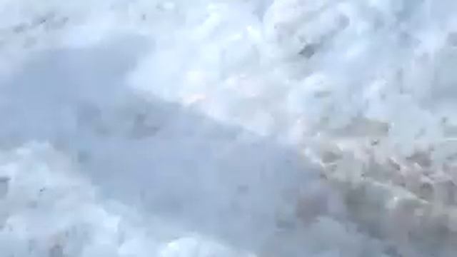 Смелые Бомжи смотреть онлайн