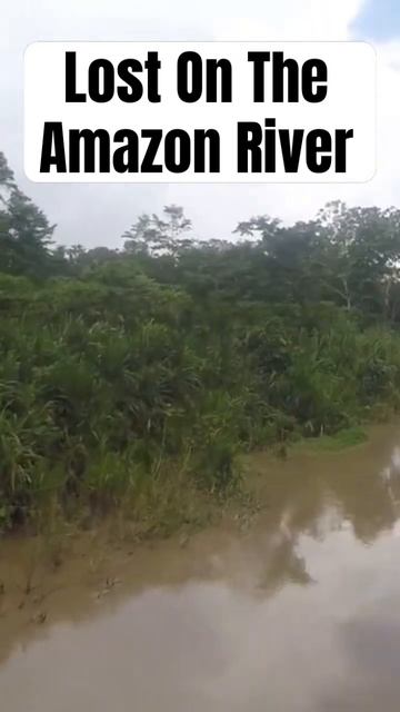Lost On The Amazon River#travel #travelvlog #adventure #amazonrainforest #dangerous #viral #lost смотреть онлайн