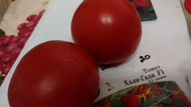 Подбор сортов томатов для приусадебного участка. смотреть онлайн