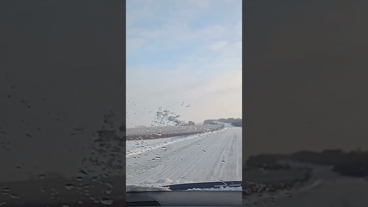 Подсолнух в снегу ❄ смотреть онлайн