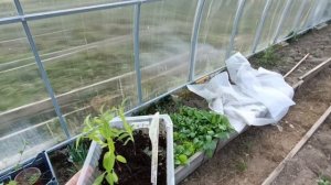 ДЕРЕВЕНСКАЯ ЖИЗНЬ.ПРОБУЮ ВАКУМАТОР