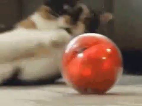 «Смарт мячик» PlayDate