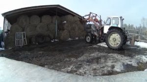 Весна наступает. Начал брать сено с сеновала, осмотр поля под разработку🚜.