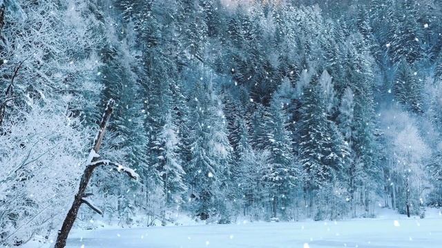 Футаж зимний смотреть онлайн