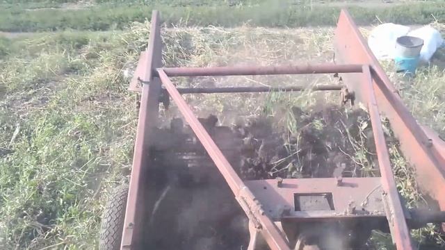 Уборка лука день 2. смотреть онлайн