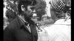 Харьковский завод тракторных двигателей — ХЗТД. Немного из истории создания